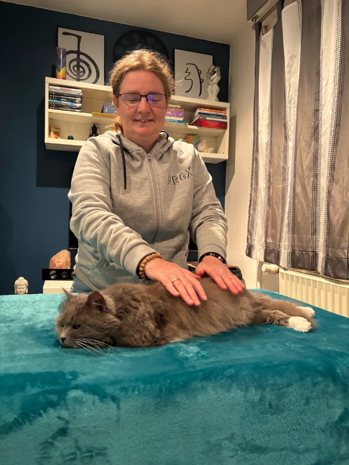 Soin énergétique pour les animaux : pendant la séance : calme, observation et liberté de mouvement